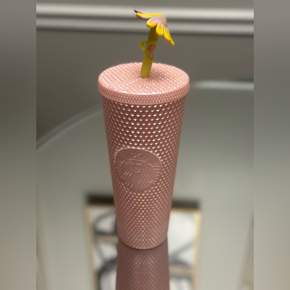 Starbucks 2024 spring cup nwt